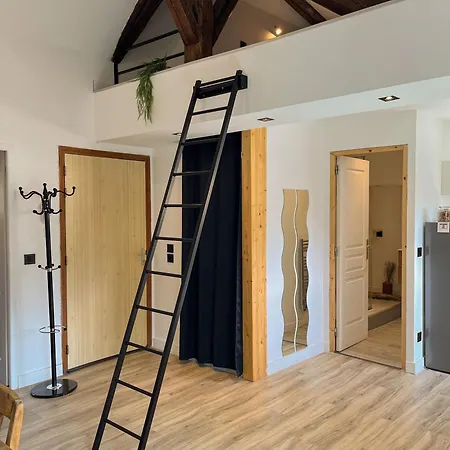 Cocon Sous Les Toits Appartement Albertville Buitenkant foto