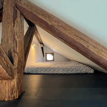 Cocon Sous Les Toits Appartement Albertville Buitenkant foto