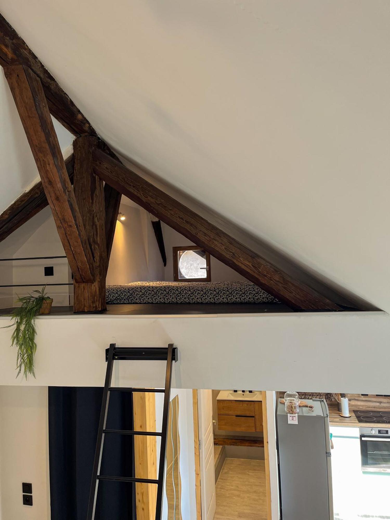 Cocon Sous Les Toits Apartment Albertville